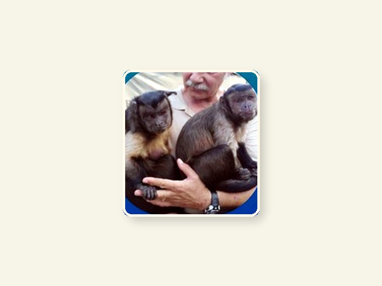 2 Re Home Capuchins — one of the faces behind the sanctuary mission.