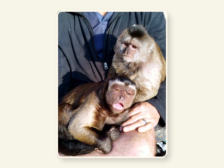 Dwyne And Theo1 — one of the faces behind the sanctuary mission.