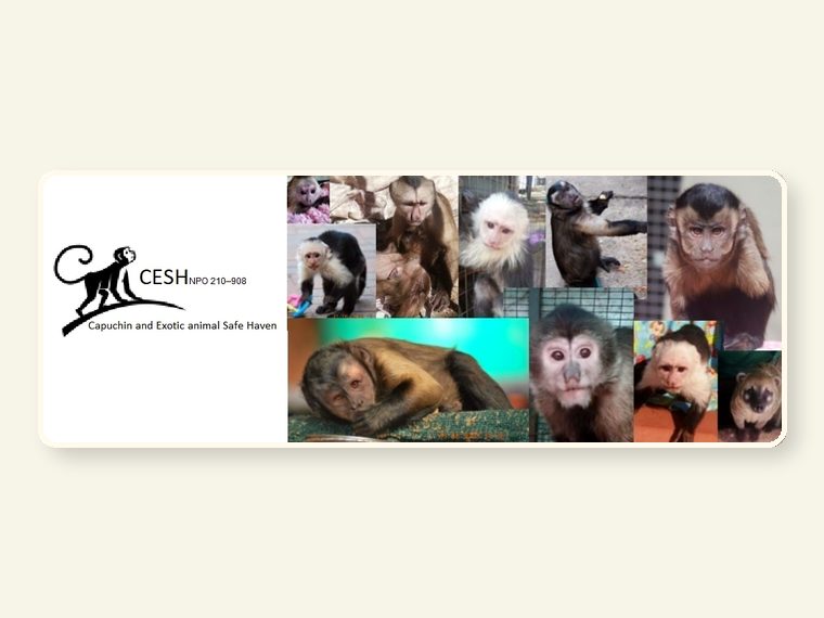 FB About Page — part of the CESH sanctuary story and public awareness campaign.