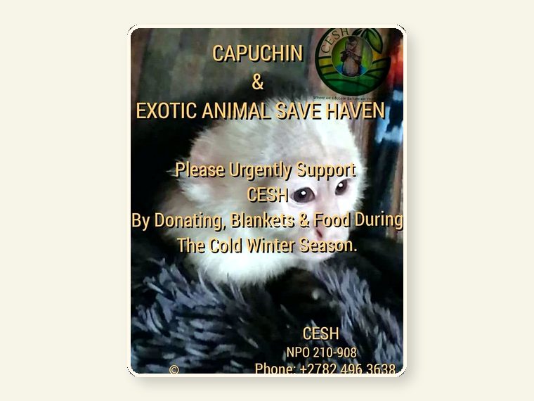 FB Donation Ask — CESH sanctuary awareness image.