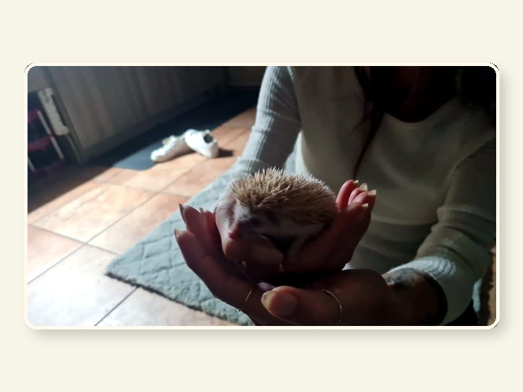 Hedge Hog — one of the faces behind the sanctuary mission.