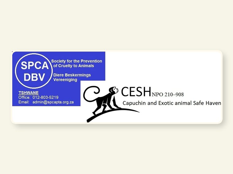 Logo With SPCA — part of the CESH sanctuary story and public awareness campaign.