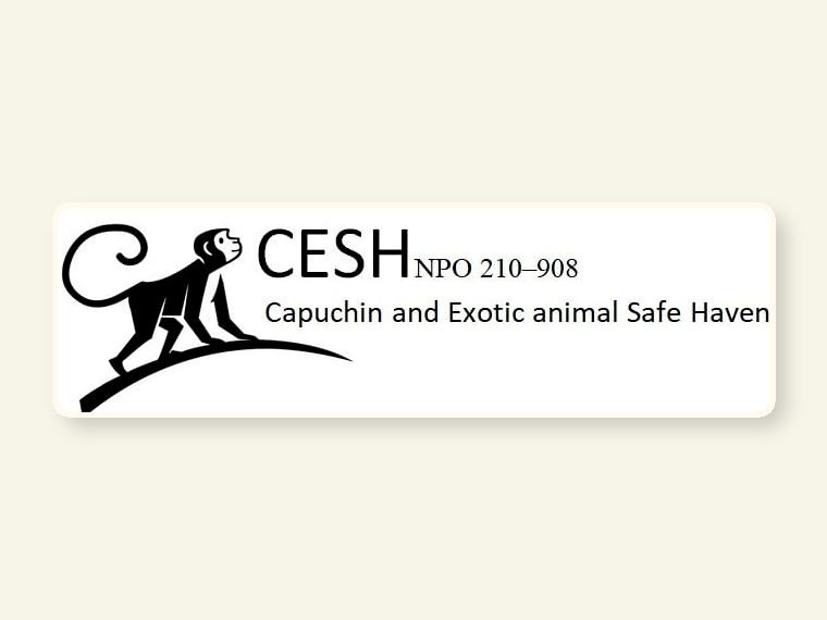 Logo — CESH sanctuary awareness image.