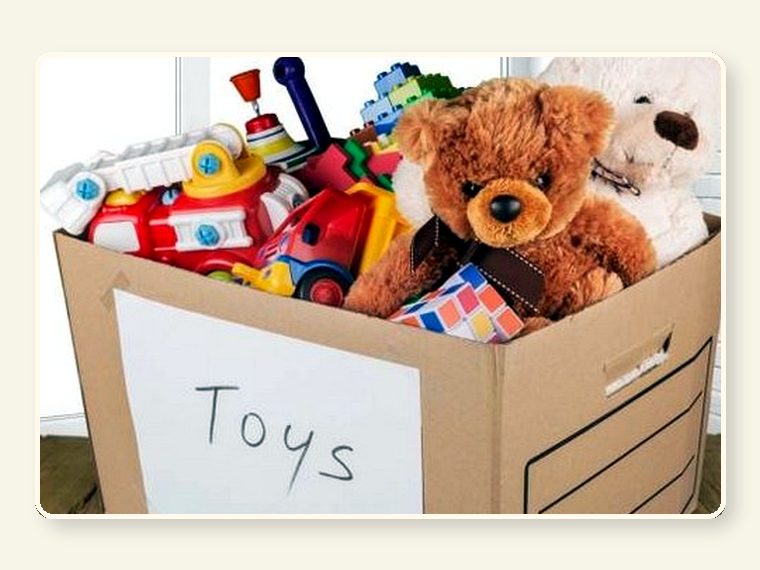 Need Toys — practical support item linked to food, warmth, repairs, enrichment or enclosure needs.