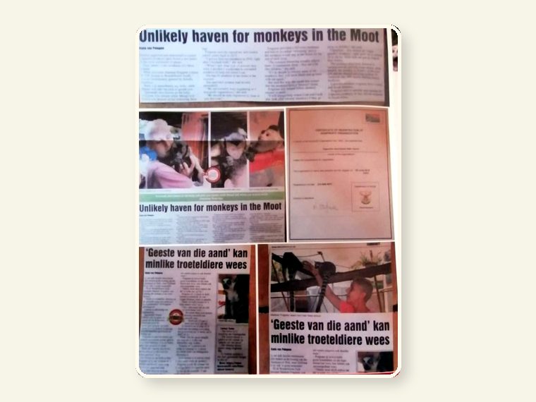 Newspaper Articles — part of the CESH sanctuary story and public awareness campaign.