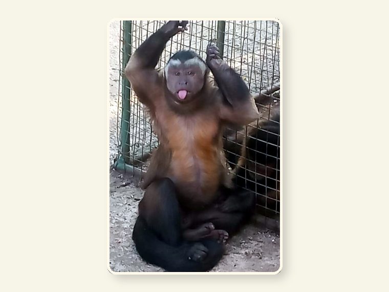 Theo1 — one of the faces behind the sanctuary mission.