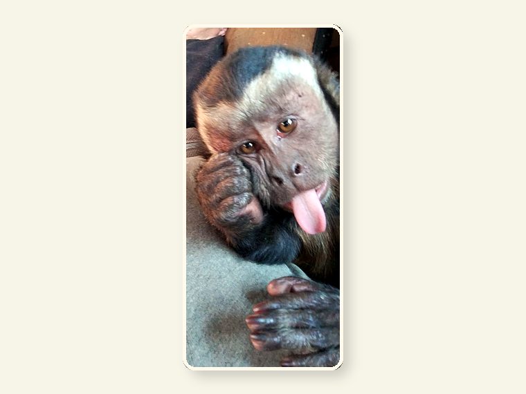 Theo3 — one of the faces behind the sanctuary mission.