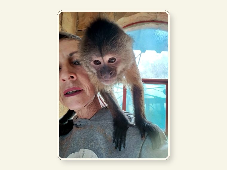 Weeper And Marlene — part of the CESH sanctuary story and public awareness campaign.