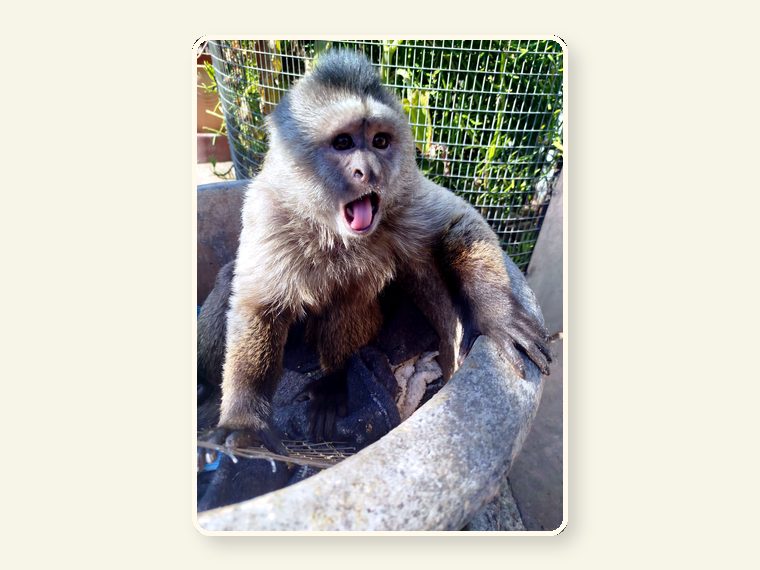 Weeper Dwyne1 — one of the faces behind the sanctuary mission.