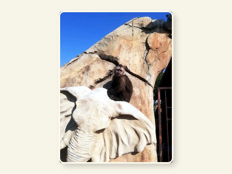 Weeper Dwyne2 — one of the faces behind the sanctuary mission.