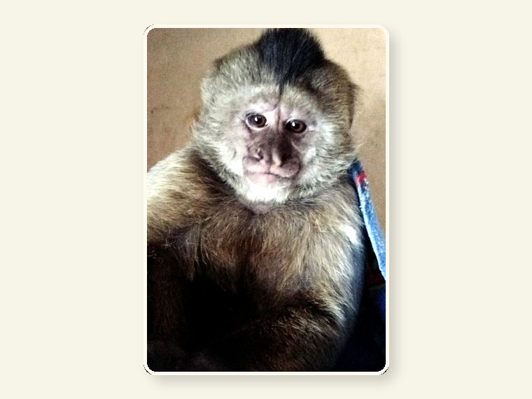 Weeper Dwyne3 — one of the faces behind the sanctuary mission.
