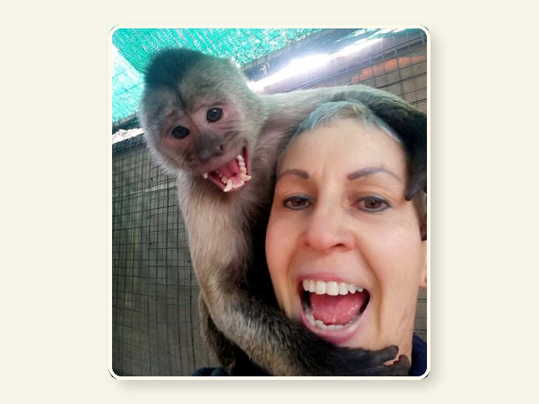 Weeper Teeth — shown as an educational reminder of the risks, injuries and behavioural realities involved in exotic animal ownership.