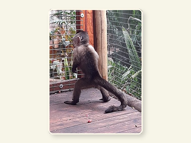 Weeper Young — one of the faces behind the sanctuary mission.