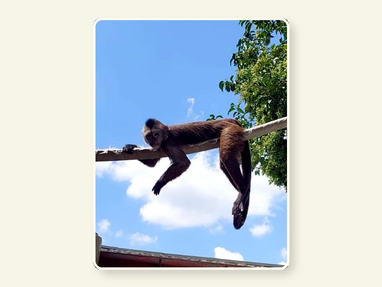 Weeper — one of the faces behind the sanctuary mission.