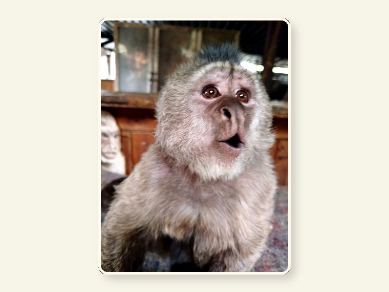 Weeper2 — one of the faces behind the sanctuary mission.