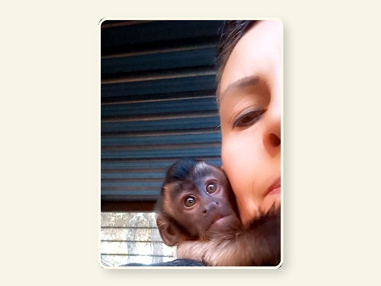 Young Capuchin And Marlene — part of the CESH sanctuary story and public awareness campaign.