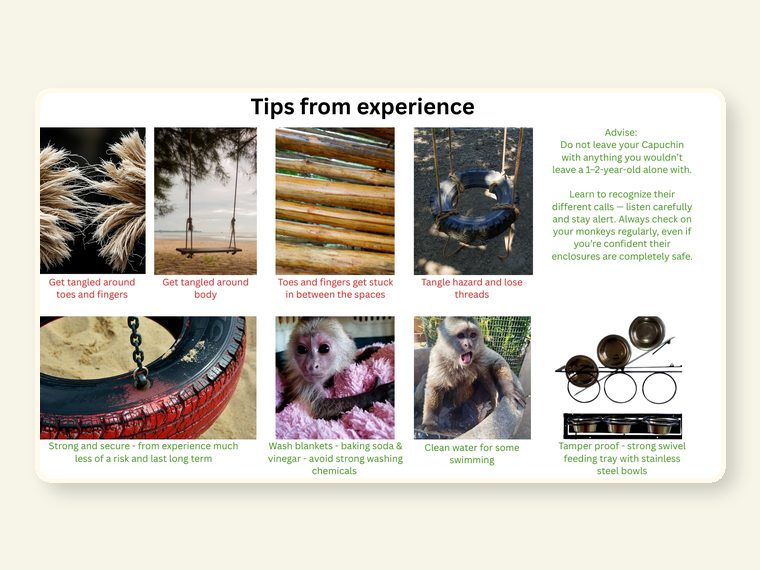 Tangeld Around Toes And Fingers — shown as an educational reminder of the risks, injuries and behavioural realities involved in exotic animal ownership.