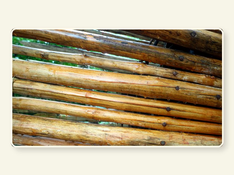 Amazing Wooden Fence As A Background 14938558 — shown as an educational reminder of the risks, injuries and behavioural realities involved in exotic animal ownership.