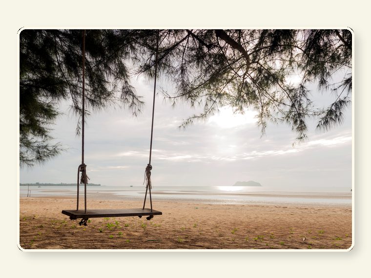 Swing Under The Tree 1985118 — practical support item linked to food, warmth, repairs, enrichment or enclosure needs.