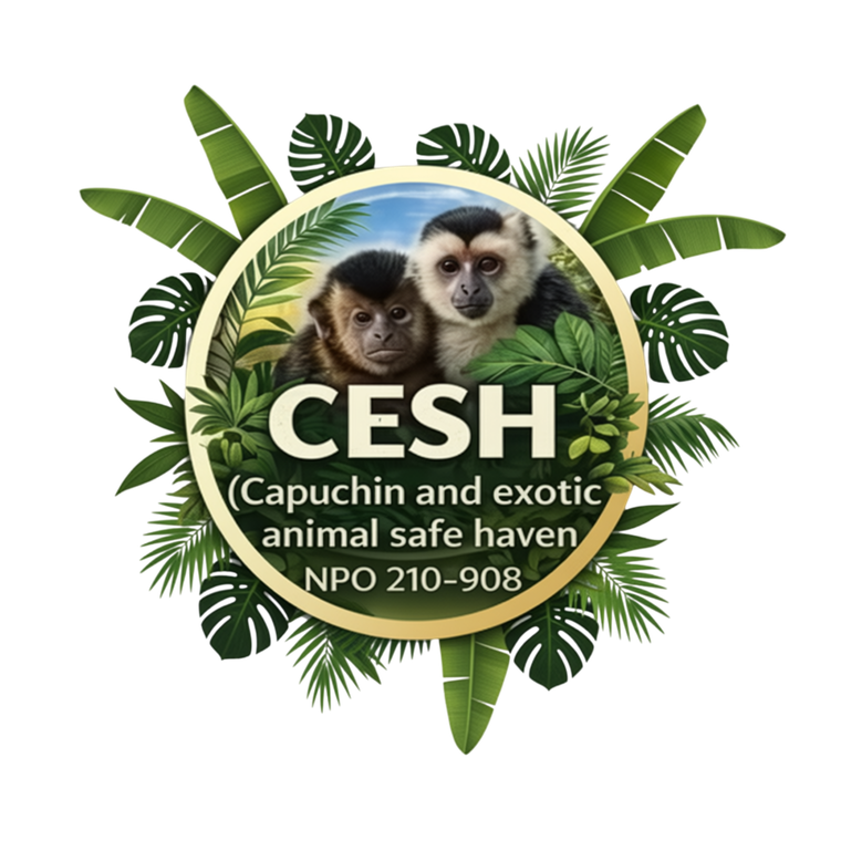 CESH NPO logo