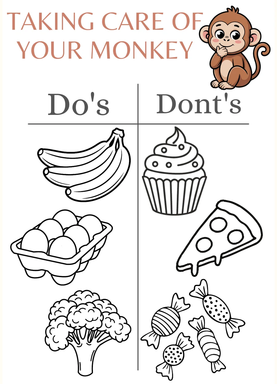 Monkey Care Do’s & Don’ts preview